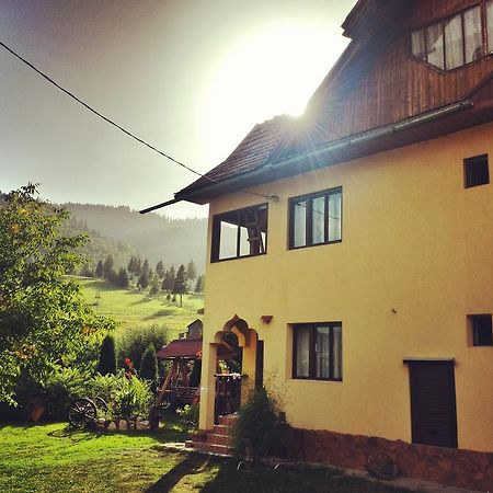 Pensiunea La Muncel Sadova  Exterior foto