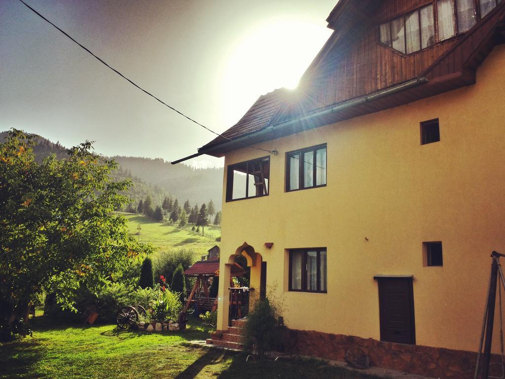 Pensiunea La Muncel Sadova  Exterior foto