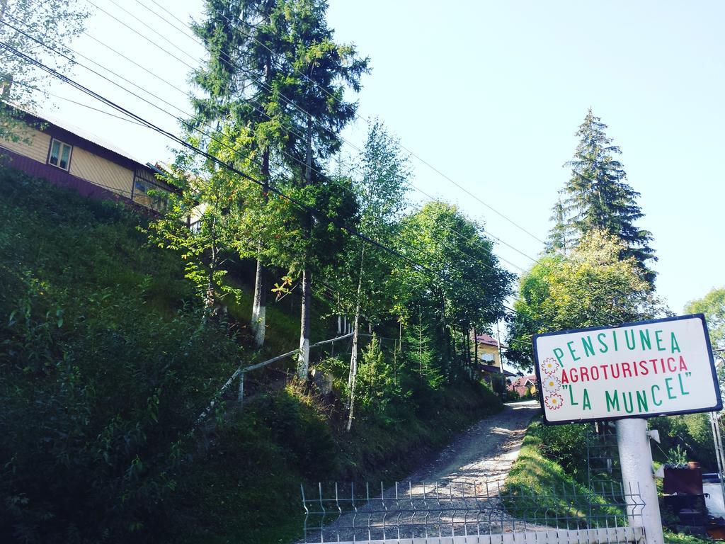 Pensiunea La Muncel Sadova  Exterior foto