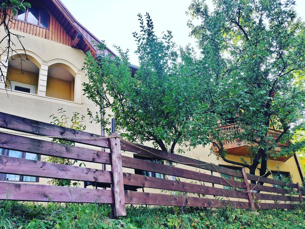 Pensiunea La Muncel Sadova  Exterior foto