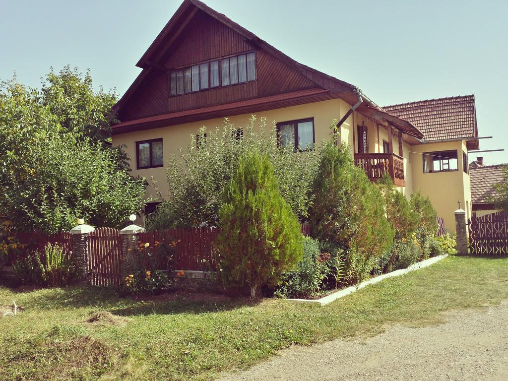 Pensiunea La Muncel Sadova  Exterior foto