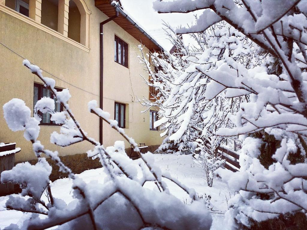 Pensiunea La Muncel Sadova  Exterior foto