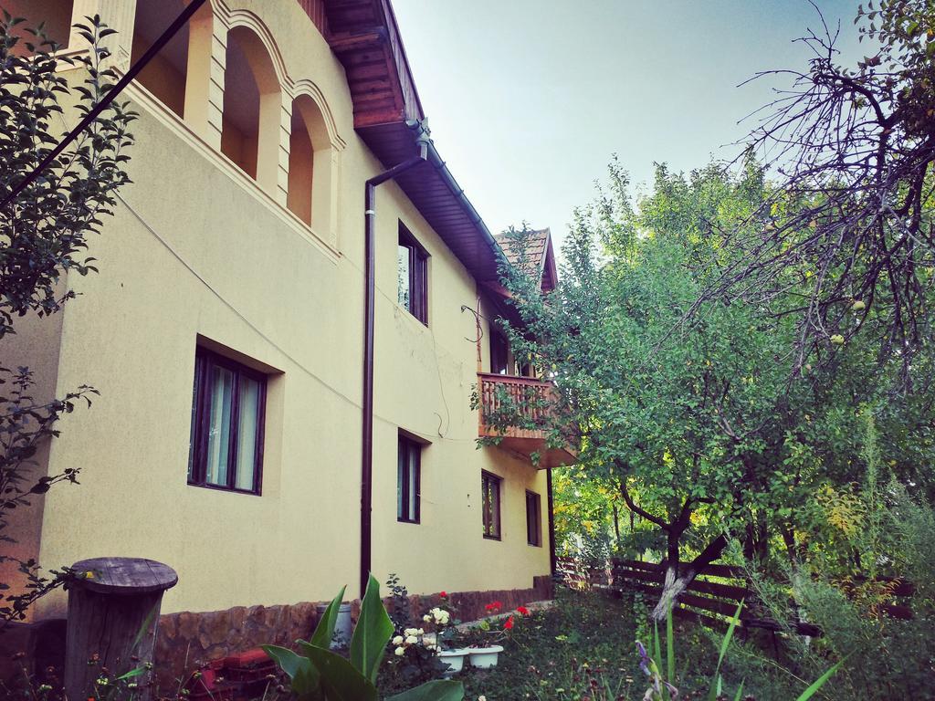 Pensiunea La Muncel Sadova  Exterior foto